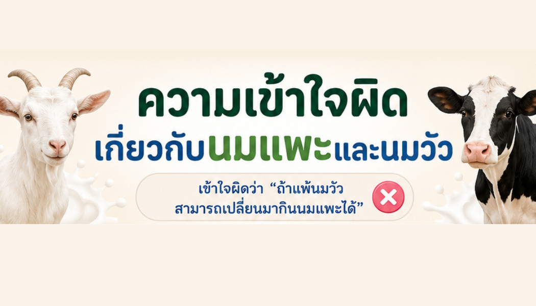 ความเข้าใจผิดเกี่ยวกับนมแพะ และ นมวัว