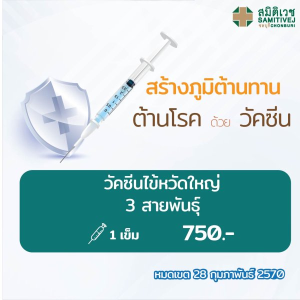 วัคซีนป้องกันไข้หวัดใหญ่ 3 สายพันธุ์ (สายพันธุ์ล่าสุด 2026)